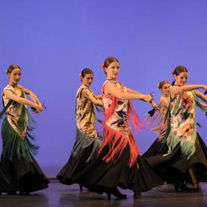 Fotografía de Talleres Danza Española (galería 2) - Conservatorio de Danza